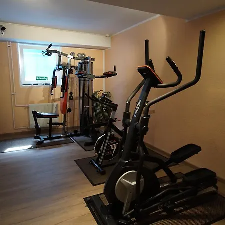 Bauschheimer Hof 호텔