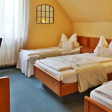 Bauschheimer Hof 3* 루셀스하임